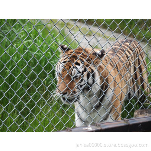 chain link fence